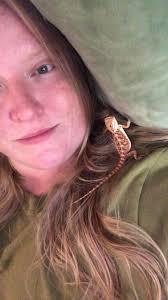 before and after pictures of baby bearded dragons color change