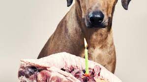 Can Dogs Eat Rib Bones Risks Of Giving Rib Bones To Dogs