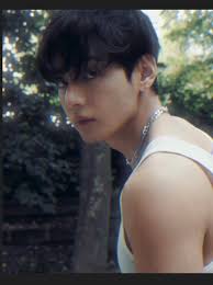 Jamo and Hollywood for Tae Adam's?