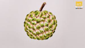 How To Draw Custard Apple Drawing Ii How To Draw Fruits Ii By Art Janag Fruits Drawing Apple Art Texture Drawing