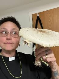 Like what happened!? 🦁🍄