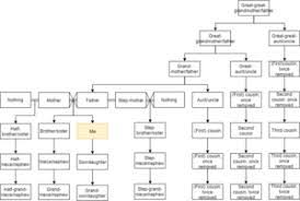 Your immediate family includes your father, mother and siblings. Outline Of Relationships Wikipedia