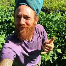 Are you growing your own food yet? It's summertime and the garden is in  full swing! I've been harvesting tomatoes, green beans, lettuce, kale,  squash and edible flowers every day. Wishing you