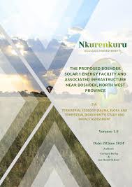 Image result for Otiophora pycnostachys