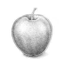 How To Draw An Apple How to draw a realistic apple with pencil sketch with light and shades very easy step by step tutorial on how to draw an apple. how to draw an apple
