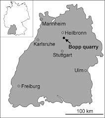 Maybe you would like to learn more about one of these? Map Of Baden Wurttemberg Southern Germany With The Type Locality Of Download Scientific Diagram
