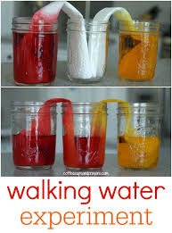 Crazy Cool Walking Water Science Experiment For Kids Science Experiments Kids Water Science Experiments Science For Kids