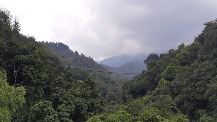 Pesona Situ Gunung Sukabumi