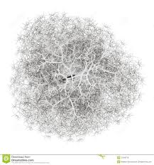 tree top google search trees top view tree plan photoshop tree tops trees top view tree plan photoshop