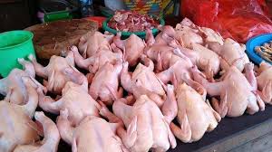 Berapa asupan protein per hari? Lebih Sehat Mana Paha Ayam Atau Dada Ayam Banjarmasin Post