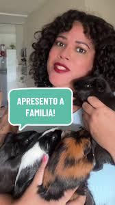 Papinha Caseira Para Porquinhos da Índia: Dicas e Receitas