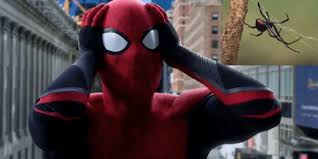 In the marvel cinematic universe, black widow doesn't appear to have any superpowers: Ouch Spider Man Fans Let Black Widow Bite Them In Hopes Of Getting Super Powers Inside The Magic