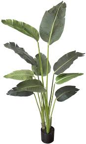 Bird Of Paradise Palm Plant Care Amazon Com One 5 Foot Artificial Silk Bird Of Paradise Palm Tree Potted Plant Home Kitchen In 2020 Artificial Plants Plants Birds Of Paradise Plant