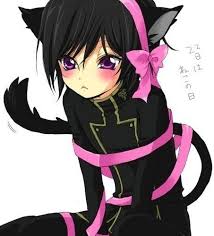 Anime Animal Guys Fan Art Kitty Lelouch Chan Neko Boy Anime Neko Anime Animals