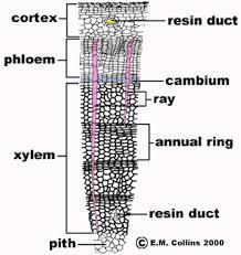 Exam 5 Hints