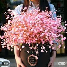 100 inspirasi nama bermakna bunga untuk nama bayi perempuan anda. Jual 100 Butir Biji Benih Bunga Gypsophila Baby Breath Mix Online Mei 2021 Blibli