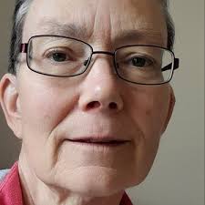 Bournemouth, Christchurch and Poole local election: The 9 candidates in  Burton & Grange