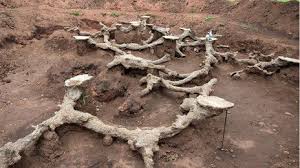 Underground Worlds Caught On Camera