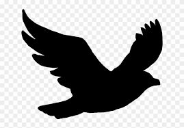 Birds flight silhouette illustrations & vectors. Turtle Dove Clipart Flight Silhouette Kill A Mockingbird Bird Free Transparent Png Clipart Images Download