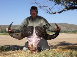 Animals come in all shapes and sizes; Budgeting For An African Hunting Safari