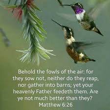 Birds Of The Air Bible Meaning Pin On Women Of Faith