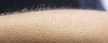 Several factors can cause goosebumps on the skin, including chills, emotional responses, and some drugs. Science May Have Finally Explained The Reason Why We Still Get Goosebumps