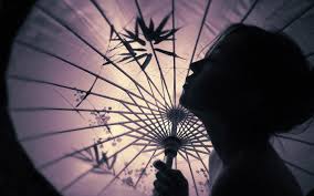 (i) you are not at least 18 years of age or the age of majority in each and every jurisdiction in which you will or may view the sexually explicit material, whichever is higher (the age of majority), (ii) such material offends you, or. 30 Geisha Hd Wallpapers Background Images