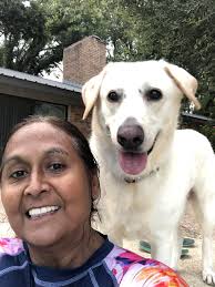 Hi my name is Todd and im a cavador I turned 9 this year and my family love  me so much🐕🐶 hello to all the fur friends