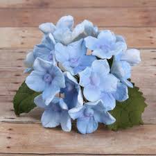 10 Bunches Of Hydrangeas And Leaves Blue Caljavaonline