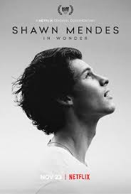 What are the best marvel movies? Shawn Mendes Charts On Twitter Shawnmendes In Wonder Was The 6th Most Viewed Movie In The World On Netflix Yesterday