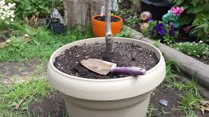 And if your garden soil is not ideal, filling a large container with a precisely formulated growing medium can make it possible to grow plants that would otherwise languish. 7 Secrets To Growing Fruit Trees In Containers Homesteading