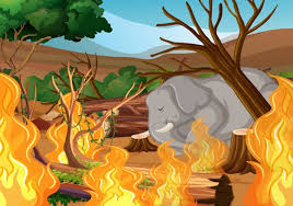 1,321 likes · 16 talking about this. Deforestacion Con Elefantes E Incendios Forestales Vector Gratis