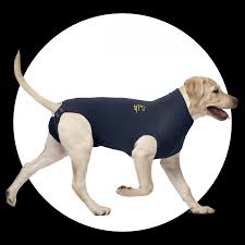 Mps Medical Pet Shirt Dog Medical Pet Shirts
