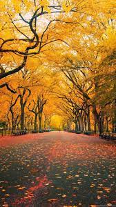 Check spelling or type a new query. Late Autumn Desktop Themes Hd Wallpapers Widescreen Awesome Backgrounds For Editing 720x1280 Wallpaper Teahub Io