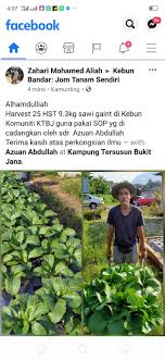 Pilih pasu pastikan anda menggunakan pasu yang mempunyai sistem saliran di bahagian dasarnya. Alhamdulillah Seronok Sangat Bila Sahabat Kebun Anda Facebook