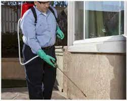 German (6.4%), american (2.7%), english (1.8%), irish (1.7%). Affordable And Top Rated Pest Control In Dodge City Kansas