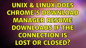 download manager resume downloads