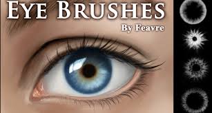 20 female eyes ps brushes abr. 12 Eye Eyelash Brushes Download For Photoshop Gimp Design Trends Premium Psd Vector Downloads