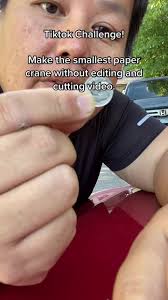 How to Make A Pat Crane without A Motor