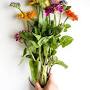 Profile Picture of About Us - Bloom Planning (@bloomplanning.com) on Google