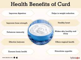 Subhasree Ray On Twitter 2 Curd Yogurt Or Curd Is A Great Probiotic An Ingredient That Contains Live Bacteria The Live Active Cultures Found In Yogurt Fight Disease Causing Germs And Keep Your