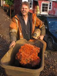 Logo Fine Minerals Australia Mineral Collection