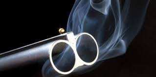 Image result for smoking gun