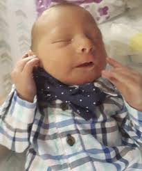 Meet Your New Neighbors