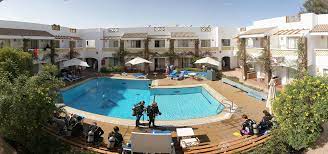 I did my first dive with elite back in 2015. Camel Boutique Hotel Sharm El Sheikh Egypt Booking Com