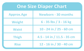 Charlie Banana One Size Cloth Diaper 6 Pack