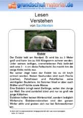 Schulaufgaben & klassenarbeiten gymnasium klasse 6. Sachtexte Tiere Sachtexte Lesen Deutsch Klasse 3 Grundschulmaterial De