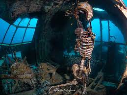 Yikes!! Is that a skeleton? Yep, a fake one 😆 . The C130 Plane has been a  well-visited dive site here in Jordan for several years. The plane has  taken a beating