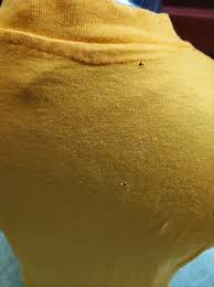 Image result for Yellow 1982 AA