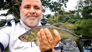 Monster tarpon caught in southwest Florida